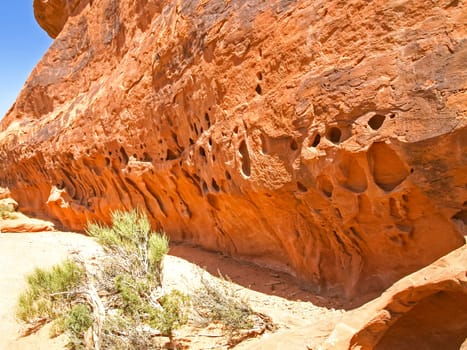 Nature National Park, Utah. The landscape and rocks. Roads and propinki Park, Utah.