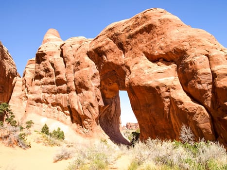Nature National Park, Utah. The landscape and rocks. Roads and propinki Park, Utah.