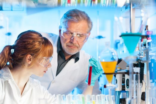 Attractive young female scientist and her senior male supervisor looking at the cell colony grown in the petri dish in the life science research laboratory