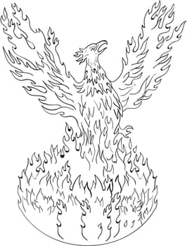 Drawing sketch style illustration of a phoenix rising up from fiery flames, wings raised for flight done in black and white set on isolated white background.