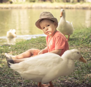 Boy and geese near lake. Mauritius
