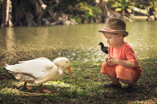 Boy and geese near lake. Mauritius