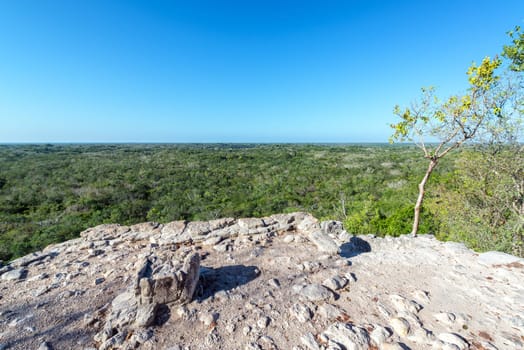 View from the top of the Mayan pyramid in the ruined city of Coba, Mexico
