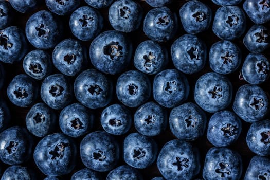 fresh big delicious blueberries in sun light