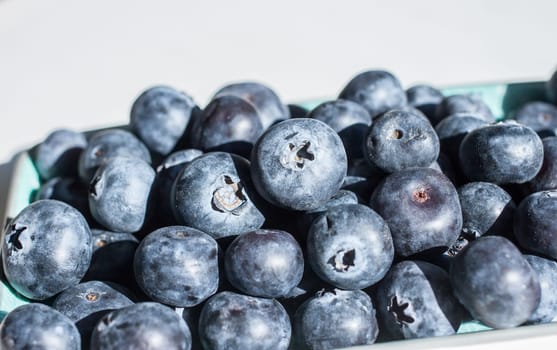 fresh big delicious blueberries in sun light