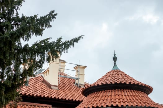 red roof and green fir tree ob blue sky background