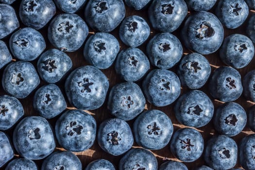 fresh big delicious blueberries in sun light