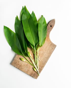 Wild garlic leafs on white background overhead shoot