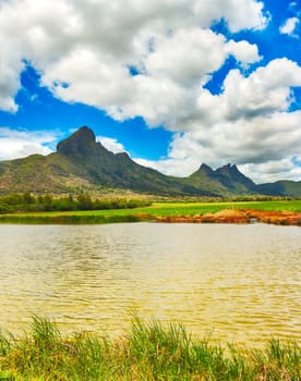 View of a sugarcane, irrigation pond and mountains. Mauritius island. Panorama
