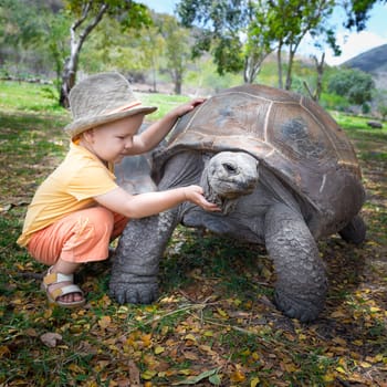 Child touching Aldabra giant tortoise. Mauritius