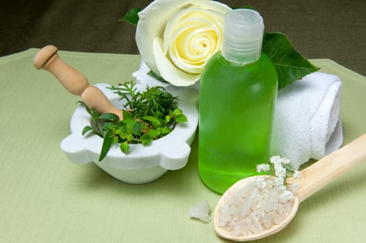 Biological and ecological home made cosmetics and  house cleaning