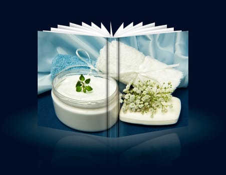 book of Biological and ecological home made cosmetics