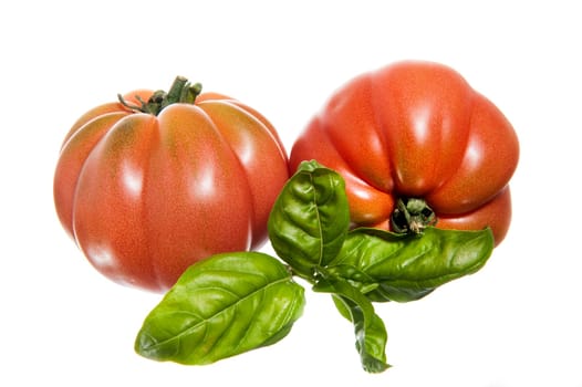 two ripe tomatoes and basil on isolated background