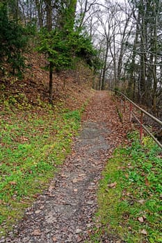 Single line path in autumn forest