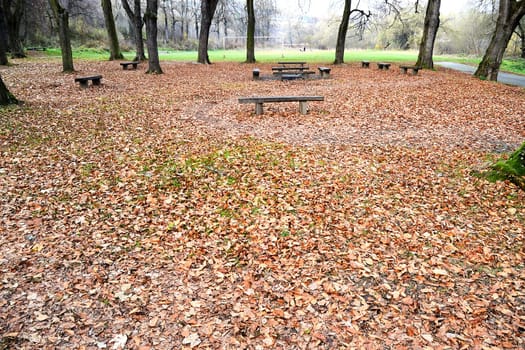 Picnic Area in forest with football palyground