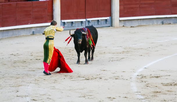 Bullfighting in las ventas Madrid Spain.