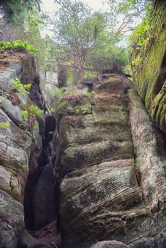 protected rock city in nature,adrspach,czech republic