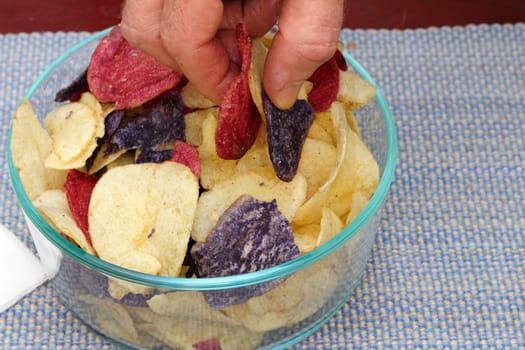 Fingers grasping red, white and blue potato chips from a bunch in a bowl. Fingers picking up Red Crimson, Purple Majesty and Chipeta or Atlantic potato chips.