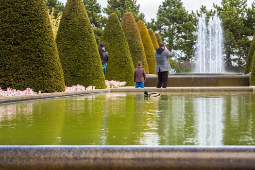 Family of tourists in Keukenhof park look at the ducks swimming in the pond and take a picture of the fountain. Mom, Dad and their son in the park. The child is looking at the fountain. Family rest.