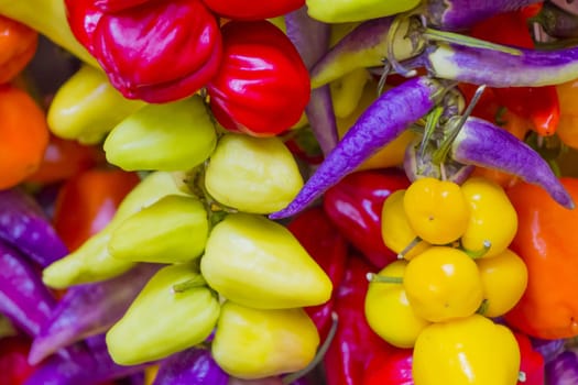 Delicious tomato and hot peppers for e.g. vegetarian food cuisine or a spicy bio diet. Perfect nutrition.