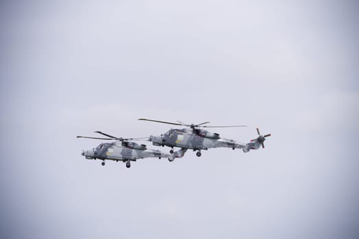 LEEUWARDEN, NETHERLANDS - JUNE 6, 2016: Two Royal Navy AgustaWestland AW159 Wildcat helicopters in action during the Royal Dutch Air Force days
