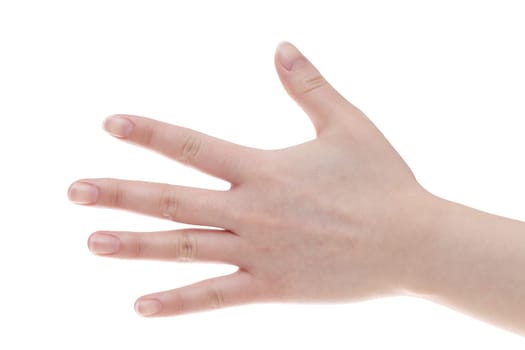 woman hand palm closeup isolated on white background