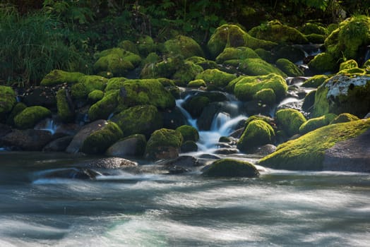 Fast mountain river with the purest water in Altay mountains, Siberia, Russia