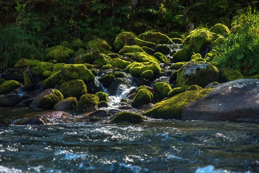Fast mountain river with the purest water in Altay mountains, Siberia, Russia