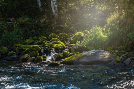 Fast mountain river with the purest water in Altay mountains, Siberia, Russia