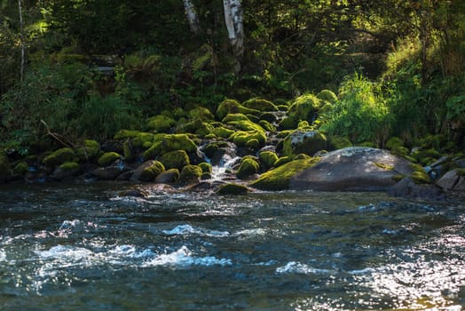 Fast mountain river with the purest water in Altay mountains, Siberia, Russia