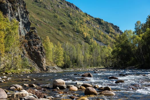 Fast mountain river with the purest water in Altay mountains, Siberia, Russia