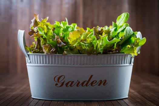 Fresh salad on wooden table