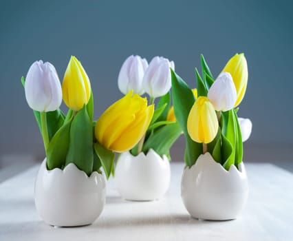 Easter tulips in fresh colors