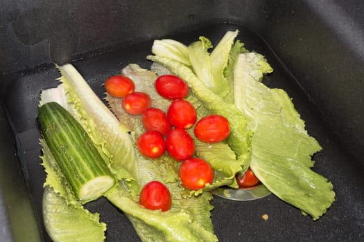 Fresh cucumbers,tomatoes and lettuce in the kitchen sink for washing..