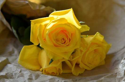 yellow roses brown paper bag