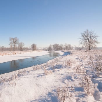 Winter landscape of fresh snow along the banks of the Bow River in Calgary, Canada.