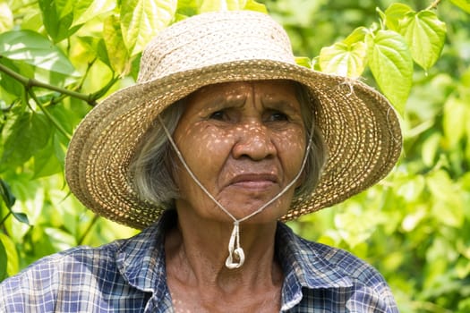Old Asian woman,portrait of a 72-year-old Thai senior citizen