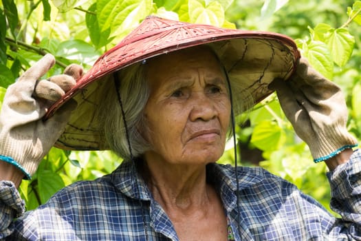 Old Asian woman,portrait of a 72-year-old Thai senior citizen