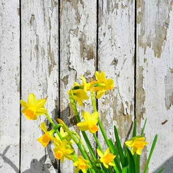 Easter bells and Easter eggs on old white wood background
