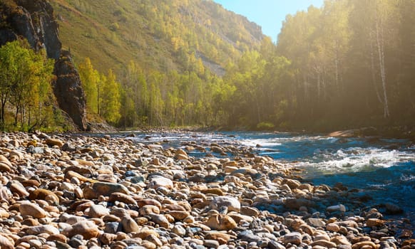 Fast mountain river with the purest water in Altay mountains, Siberia, Russia