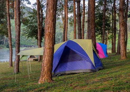 Camping tents in pine tree forest near lake at Pang Oung national park in Mae Hong Son, Thailand