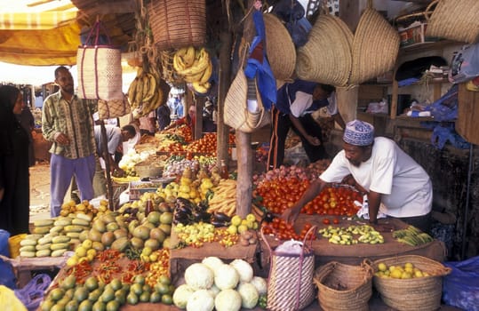 The Old Town of Stone Town or Zanzibar Town of the capital of zanzibar island in the Indian Ocean in Tanzania in East Africa