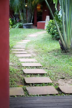 Tropical garden in the jungle in Thailand