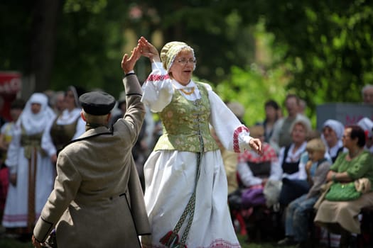 a Summer Festival in a Parc in the old City of Vilnius in the Baltic State of Lithuania