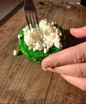 Exotic green burger in a soft bun with sesame seeds tomato onion lettuce cottage cheese