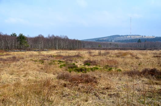 Moorwiese (view of Heidelstein,Rotes Moor)