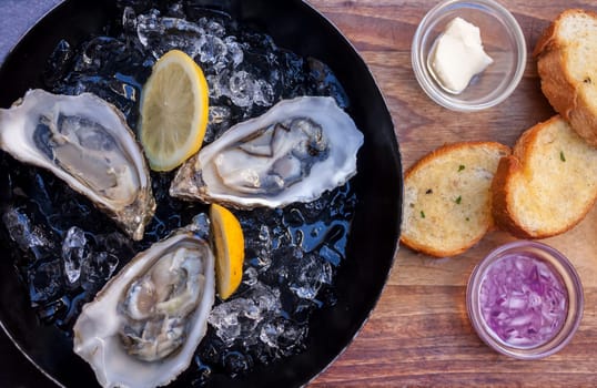 fresh opened oysters on metal black plate with bread and sauce