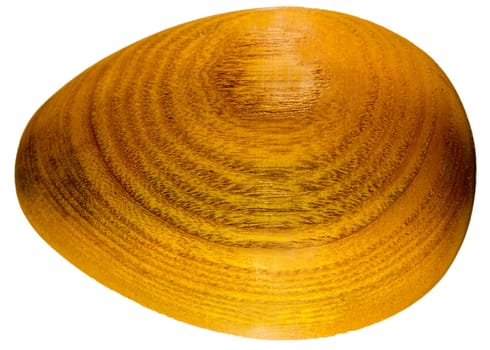 Easter egg made of wood exposed to white