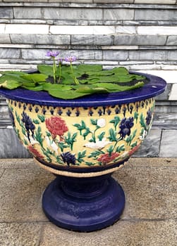 water lilly  flower vase