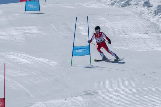 COVILHA, PORTUGAL - APRIL 2, 2017: Diana Baptista during the National Ski  Championships at Serra da Estrela, Covilha, Portugal.